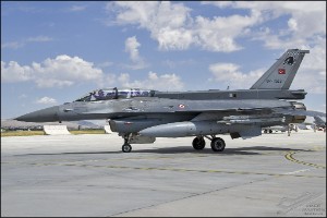 D7T_4519